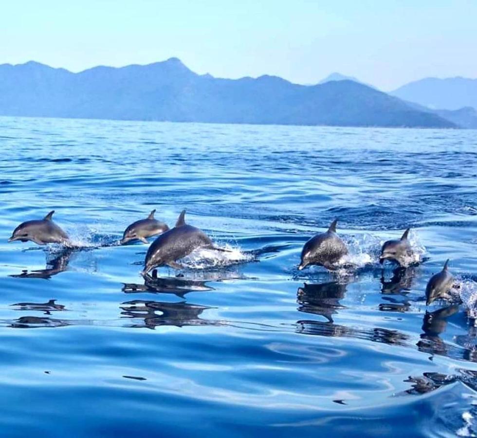 Pousada Costao Do Sol Angra dos Reis Exterior foto