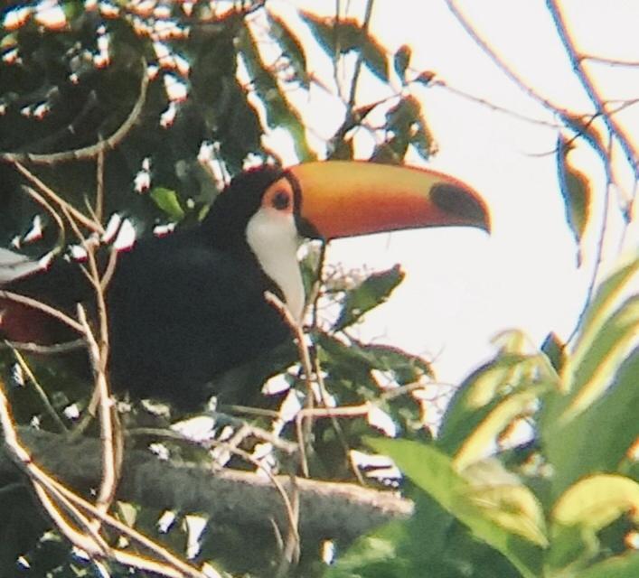 Pousada Costao Do Sol Angra dos Reis Exterior foto